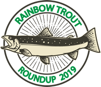 rainbow trout