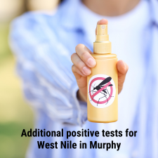 Additional positive tests for West Nile in Murphy