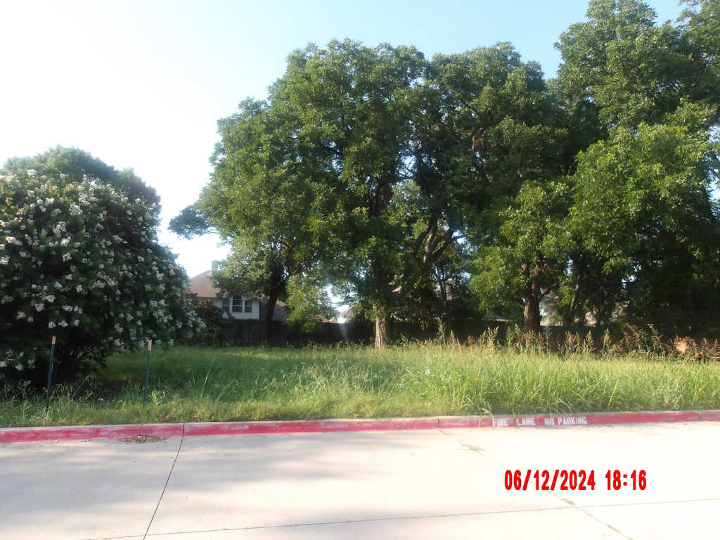 Overgrown Lawn with Tall Grass and Weeds